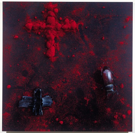 Cruz negra, escarabajo rojo