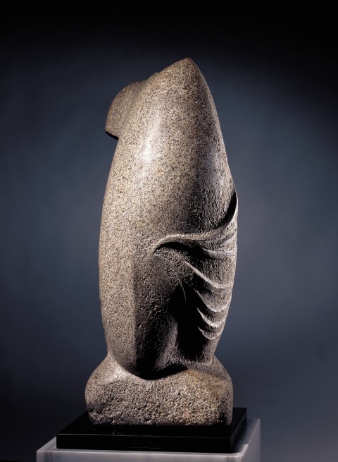 Torso